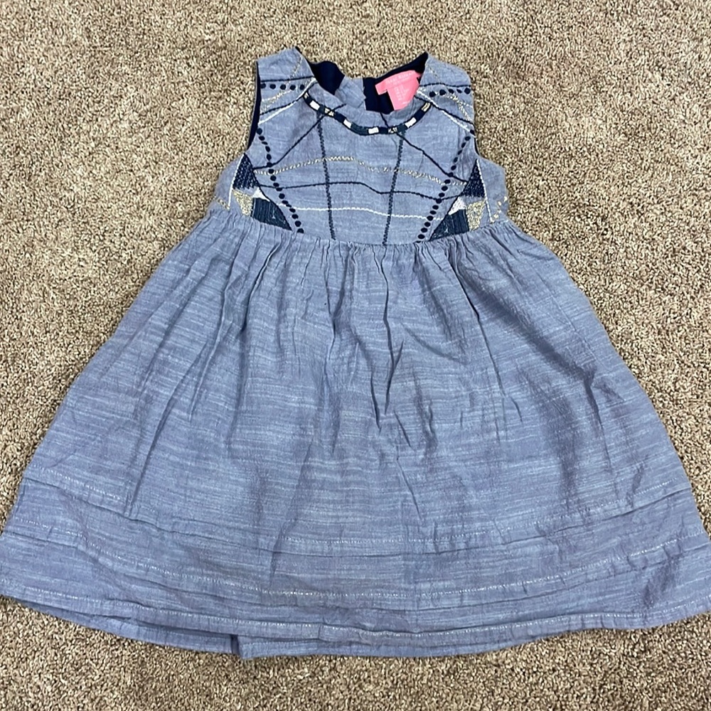Denim fit and flare 2T dress
